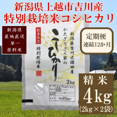 ふるさと納税 上越市 【毎月定期便】新潟県上越市吉川区国田産/特別栽培米コシヒカリ 精米4kg(2kg×2袋)全12回