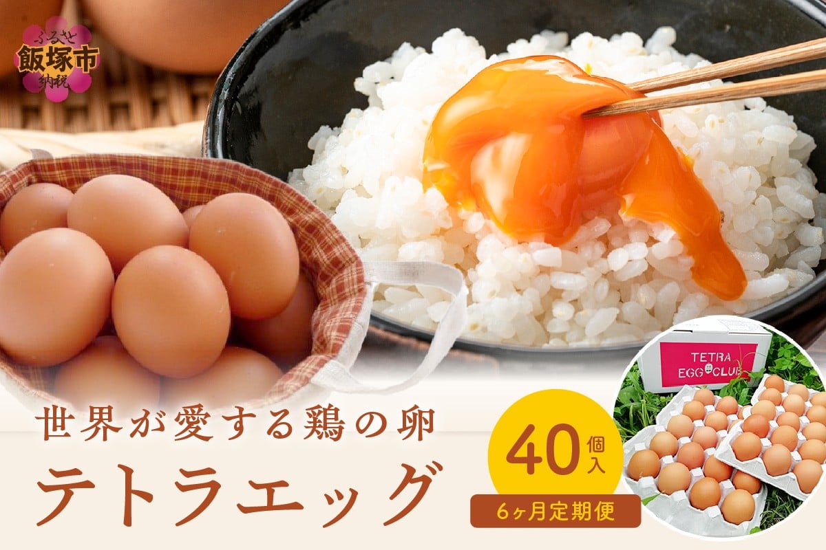 
テトラエッグ（40個/月）【6カ月定期便】【F8-004】
