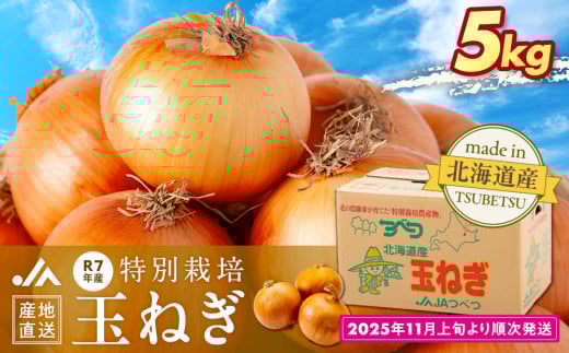 R7年産先行受付 玉ねぎ 5kg 特別栽培 | 北海道津別町