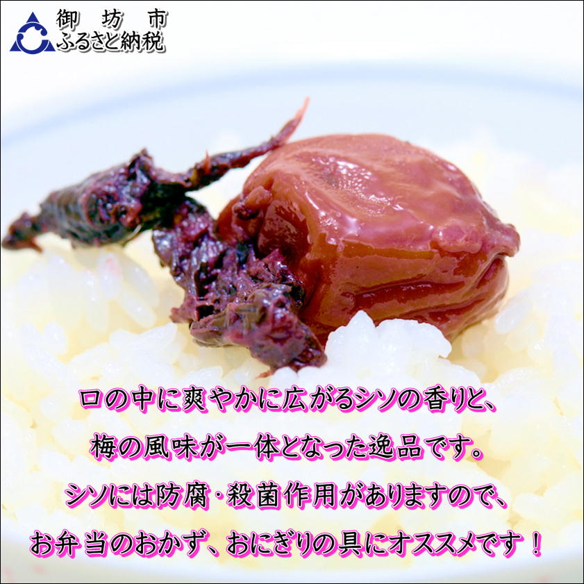 【0916-4】【家庭用】紀州南高梅　しそ漬梅　1.2ｋｇ