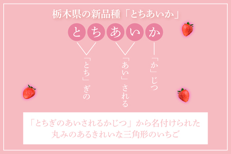 【合計20～40粒入り】いちご とちあいか 600g以上 (300g以上×2パック)｜栃木県 益子町 ふるさと納税 鈴木農園 L 2L 3L ご家庭用 家族用 食べやすい 一口サイズ 粒たっぷり 大満