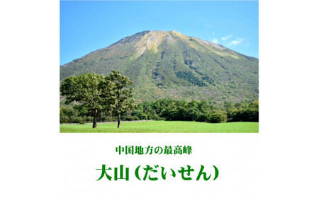 大山Gビール直営レストラン「ビアホフ　ガンバリウス」お食事券　GR-3