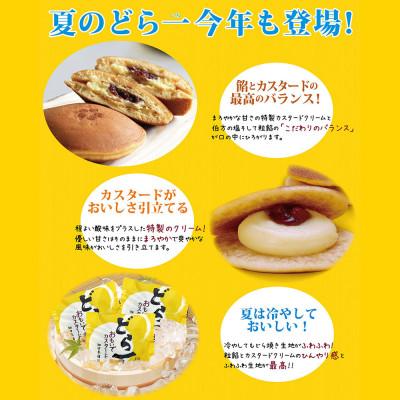 ふるさと納税 新居浜市 【期間限定:9月10日まで受付】 どら焼き ハタダ どら一(いち) おもいでカスタード 20個入り |  | 02