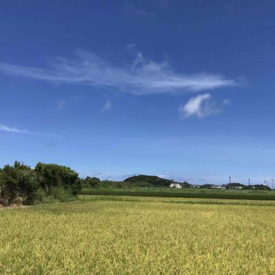 ふるさと納税 国頭村 【令和7年産新米】沖縄の農家直送 ひとめぼれ 玄米(栽培期間中農薬不使用)4kg |  | 01