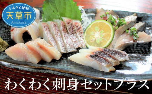 
                  S059-009_わくわく刺身セットプラス
                