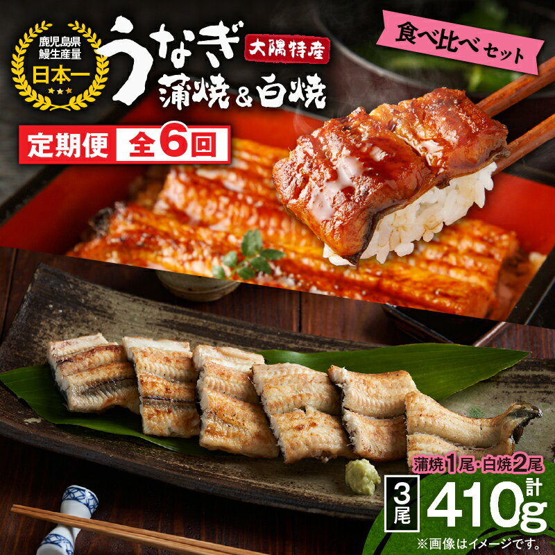 【ふるさと納税】【 定期 6回 】 大隅特産 うなぎ蒲焼 1尾 170g 白焼 2尾 240g 食べ比べ セット うなぎ 鰻 蒲焼 蒲焼き 惣菜 総菜 定期便 魚 魚貝類 魚介類 海産物 鰻重 うな重 ひつまぶし 鰻丼 土用の丑 冷凍 寺園商店鹿児島 鹿屋市 おすすめ ランキング プレゼント ギフト