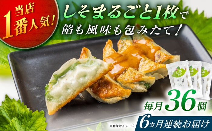 
            【全6回定期便】【3パック】餃子屋ヒロの 人気のしそ餃子【餃子屋ヒロ】開成町 餃子 点心 惣菜 冷凍 [BDAS011]
          