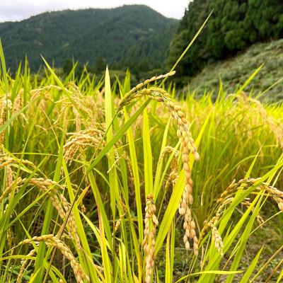 ふるさと納税 智頭町 【みたき園】よもぎ餅(5個入り×3パック) |  | 03