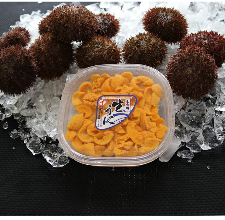 【ふるさと納税】 エゾバフンウニ塩水パック 100g × 1P うに ウニ 雲丹 バフンウニ エゾバフンうに えぞばふんうに 蝦夷バウンウニ 蝦夷ばふんうに ウニ丼 うに丼 雲丹丼 刺身 お取り寄せ グルメ 海鮮 北海道 根室市 ふるさと納税 A-71044