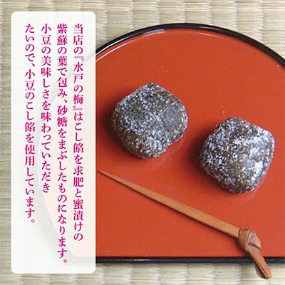 ふるさと納税 水戸市 水戸の梅 15個入 |  | 02