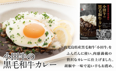 【プレミアムブランド】鹿児島県産黒毛和牛「小田牛」 黒毛和牛カレー 3食（200g×3） カレー ビーフカレー 総菜 レトルト 黒毛和牛 小田畜産 南さつま市