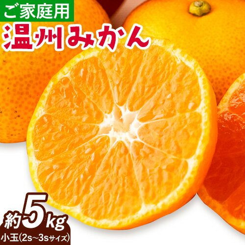 【ふるさと納税】みかん 温州みかん ご家庭用 5kg 小玉 2S～3Sサイズ GOGO農園《10月下旬-12月末頃出荷》 和歌山県 日高川町 うんしゅうみかん みかん 柑橘 蜜柑 フルーツ 送料無料