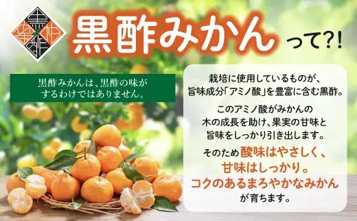 かねひろの黒酢みかん【5kg S～2L サイズ別】先行予約《11月下旬～1月上旬頃発送予定》温州みかん ふるさと納税 みかん 5kg 少量 フルーツ 甘い ジューシー 果物 蜜柑 お取り寄せ 農家直送