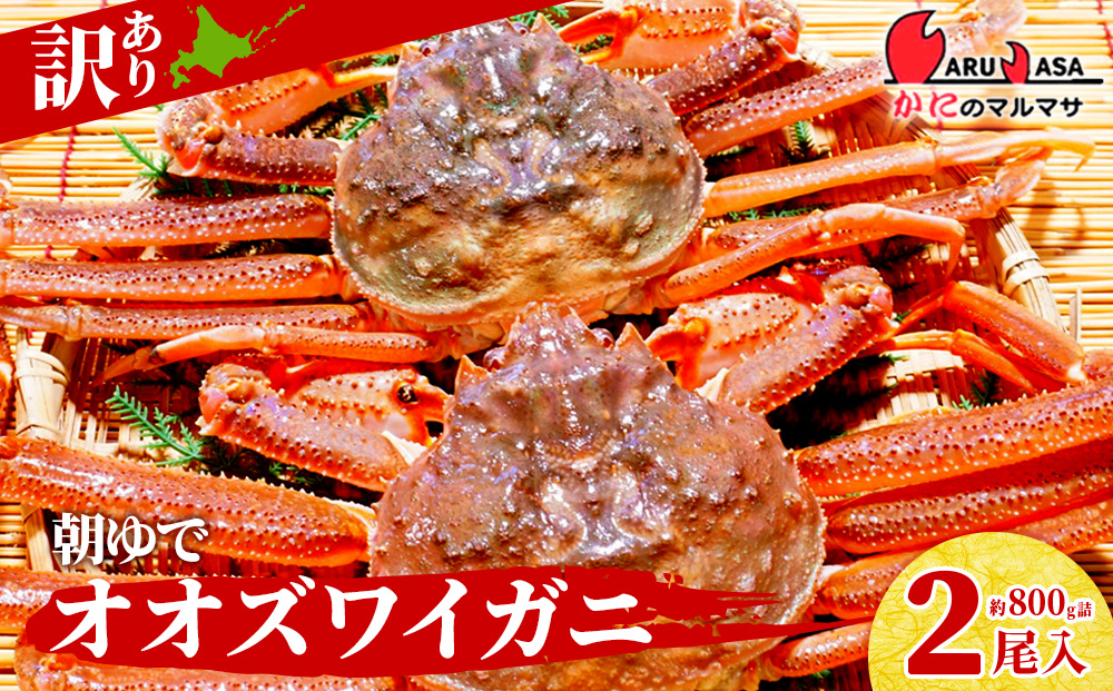 北海道産【 朝ゆで 】訳ありオオズワイガニ 800g詰 道産品 オオズワイ カニ 蟹 規格外品 不揃い 訳アリ 訳有り