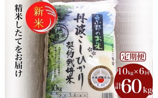 【2カ月に1回お届け】【定期便】予約 令和7年産 新米 京都丹波米 こしひかり10kg×6回 計60kg● 米 6ヶ月 白米 6回定期便 ※精米したてをお届け コシヒカリ 新米精米 新米定期便 令和7年産精米 令和7年産定期便 京都丹波米精米 京都丹波米定期便 こしひかり精米 こしひかり定期便 ※毎月1回又は2カ月に1回 ※北海道・沖縄・離島への配送不可 ※2025年9月中旬以降順次発送(初回分)
