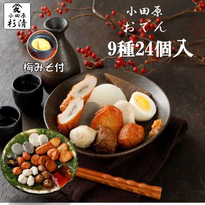 ふるさと納税 小田原市 小田原おでん　9種24個　(105)