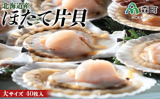 北海道産 ほたて片貝 (40枚入) ＜ワイエスフーズ＞ 森町 ほたて 帆立 ホタテ 海産物 魚貝類 ふるさと納税 北海道 mr1-0009