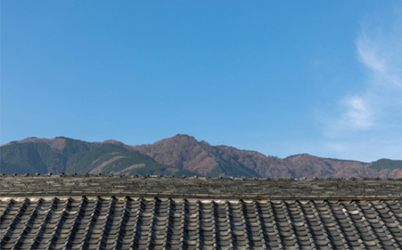 篠峯 720ml 純米大吟醸 山田錦 四割磨き 袋吊り斗瓶取り ／ 千代酒造 お酒 日本酒 限定酒 特産品 奈良県 御所市【chyo0002】