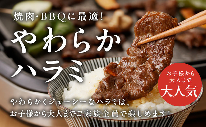 やわらかハラミ 1kg【氷温熟成×特製旨ダレ 味付き 訳あり サイズ不揃い 500g 小分け 焼くだけ 焼肉】
