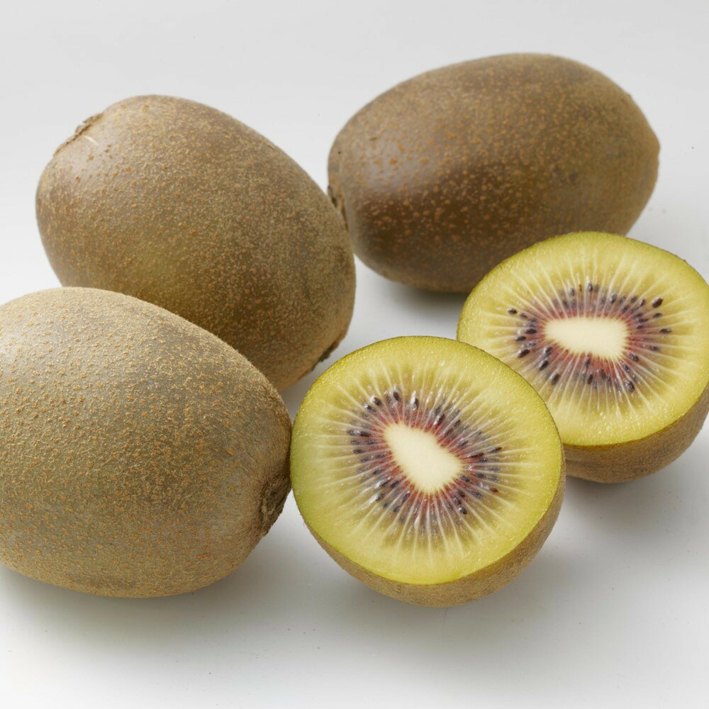 【ふるさと納税】訳あり キウイ フルーツ 約1.5kg さぬきエンジェルスイート 【11月上旬頃～発送】 | キウイ 訳あり グリーン さぬき エンジェルスイート くだもの 果物 フルーツ スイーツ 特産品 デザート