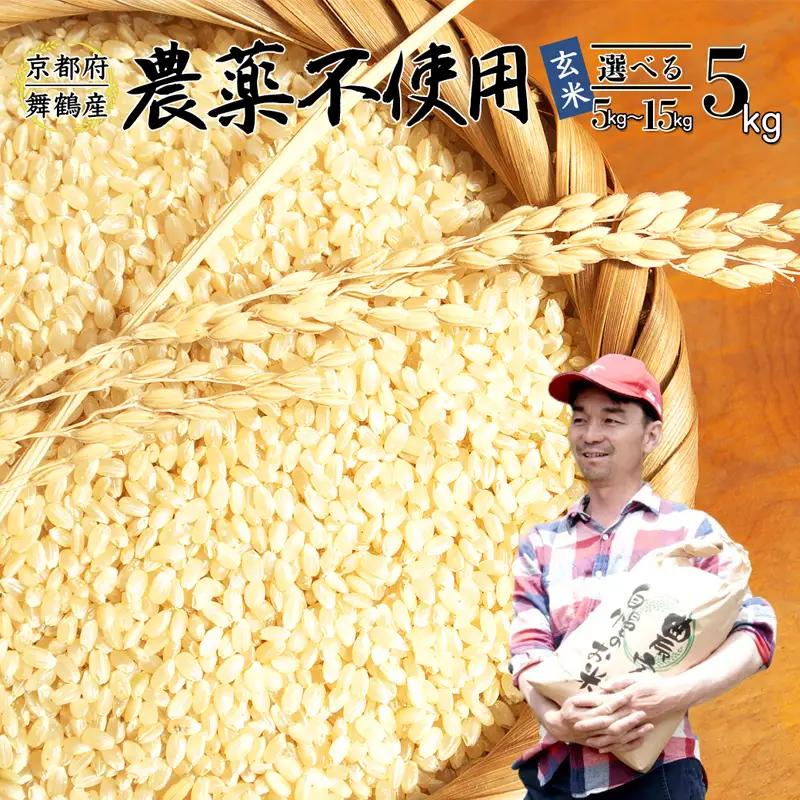 令和7年度産 棚田米 玄米 5kg コシヒカリ 栽培期間中 農薬不使用