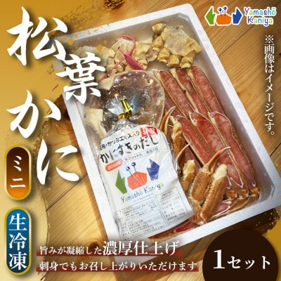 【冬の味覚を堪能】松葉がに 地蟹カット　(ミニ)　生冷凍 1セット【配送不可地域：離島】【1755643】