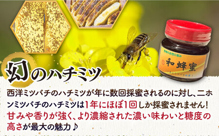 和蜂蜜（ニホンミツバチ）300g [JDP004] ハチミツ