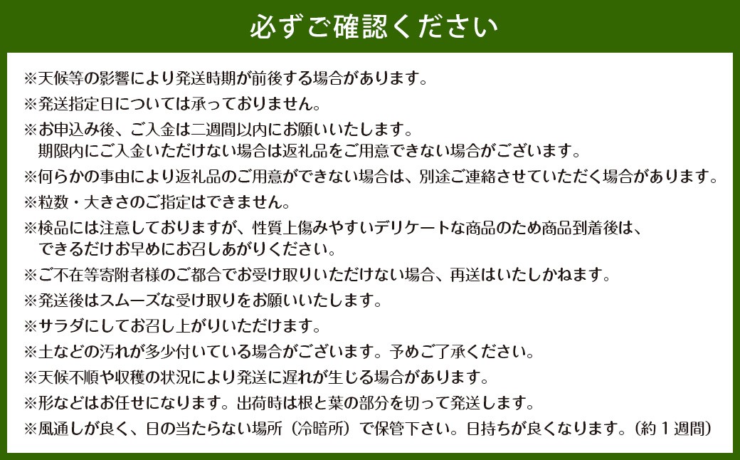 牟田農園の春の新玉ねぎ たっぷり大玉 5kg （2L） 