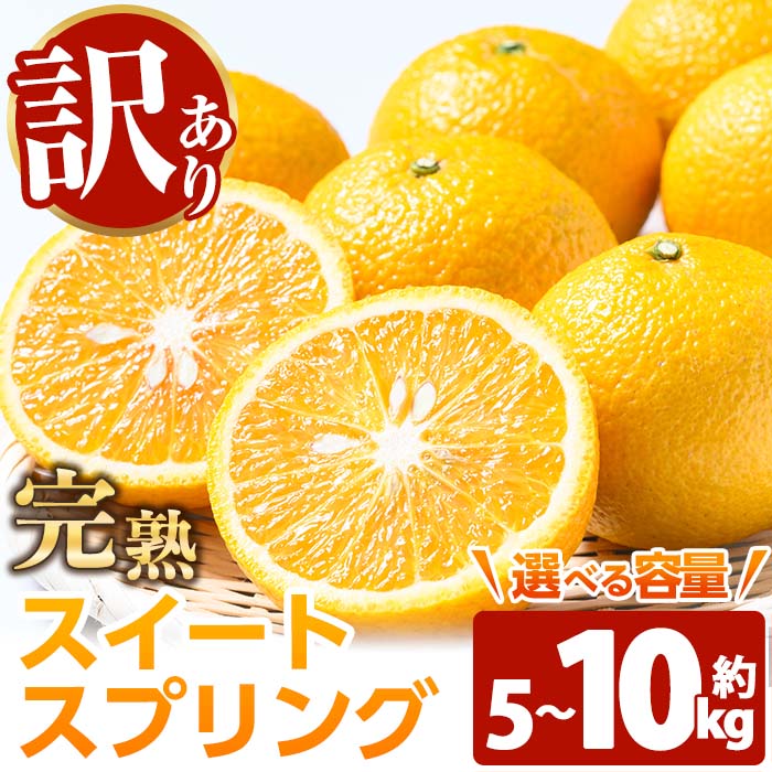 【ふるさと納税】《容量選べる！》池之上果樹園のスイートスプリング (約5kg / 約10kg) 剥き方用紙付き！ 国産 鹿児島県産 果物 柑橘 みかん ミカン 蜜柑 訳アリ 家庭用 晩柑 完熟 樹上完熟 もぎたて 新鮮 コク お試し 旬 フルーツ 果実 冬季 常温 箱詰め 【池之上果樹園】