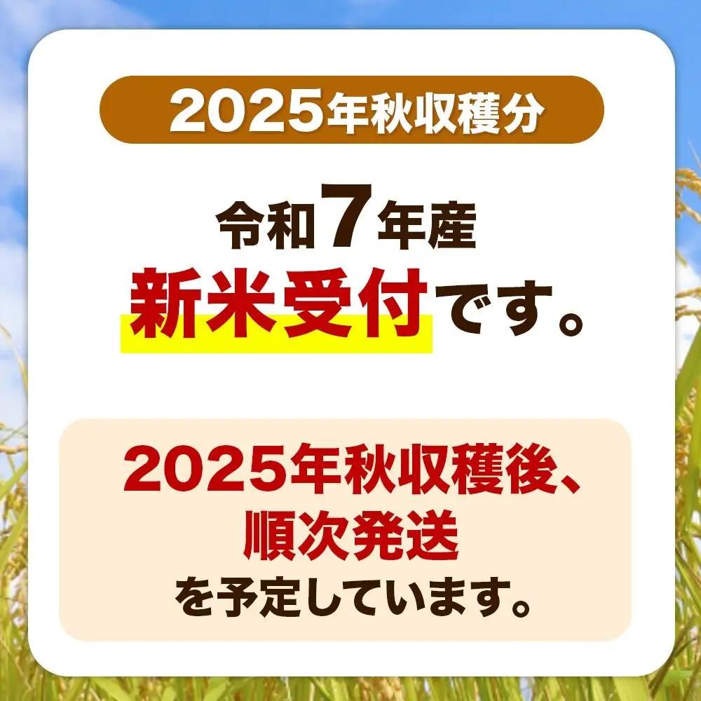 令和8年産 新米受付《定期便4ヶ月》あきたこまち 清流米 10kg（5kg×2袋）【無洗米】秋田県産