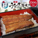 【ふるさと納税】 うなぎ 鰻 蒲焼 魚 冷凍 焼津 国産 うなぎ蒲焼き 約100g×3袋 たれ・山椒付き a18-029