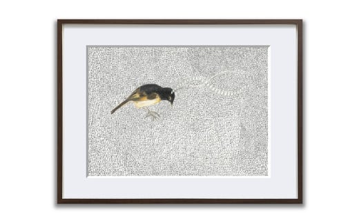アート作品「フキナガシフウチョウ」（小）【 絵画 インテリア アート 芸術品 美術品 】