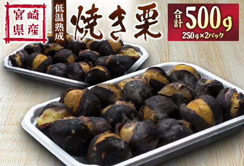 ＜先行予約＞宮崎県産 低温熟成栗［焼き栗］計500g（250g×2パック）おやつ 秋の味覚 お取り寄せ 【B617-25】