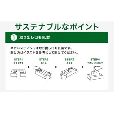 ふるさと納税 春日井市 【定期便】2回発送(3か月おきに)ネピア ネピecoティシュ200組　5箱×12パック |  | 03