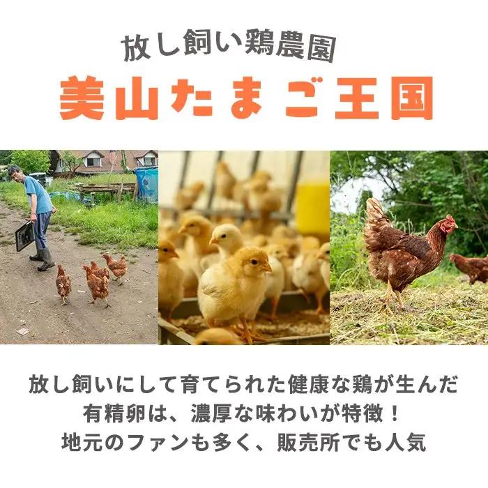 No.779 ＜定期便・全6回(連続)＞鹿児島県産美山オリーブ卵(40個×6ヶ月連続) 割れ保証付 国産 九州産 鹿児島県産 たまご タマゴ オリーブ 卵 鶏卵 生卵 おかず TKG 卵かけご飯 朝食