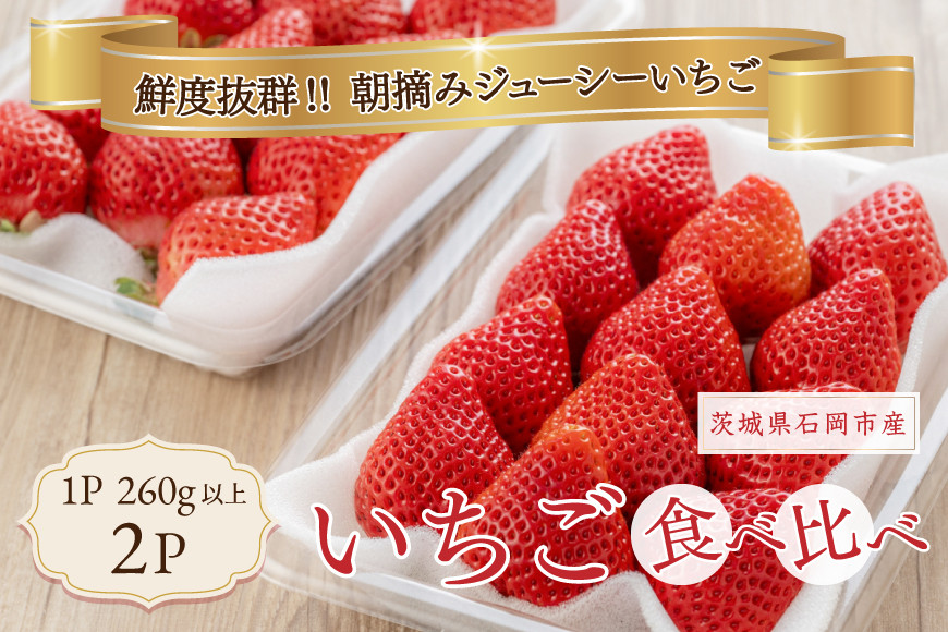 
            いちご 旬の苺 食べ比べセット 2p Rafすとろべりーふぁーむ イチゴ 苺 2パック 国産 果物 フルーツ くだもの 1月 2月 3月 発送 冬 旬 産地直送 農家直送 産直 甘い デザート スイーツ 家庭用 贈答 贈答用 茨城 茨城県 石岡市 (A27-003)
          