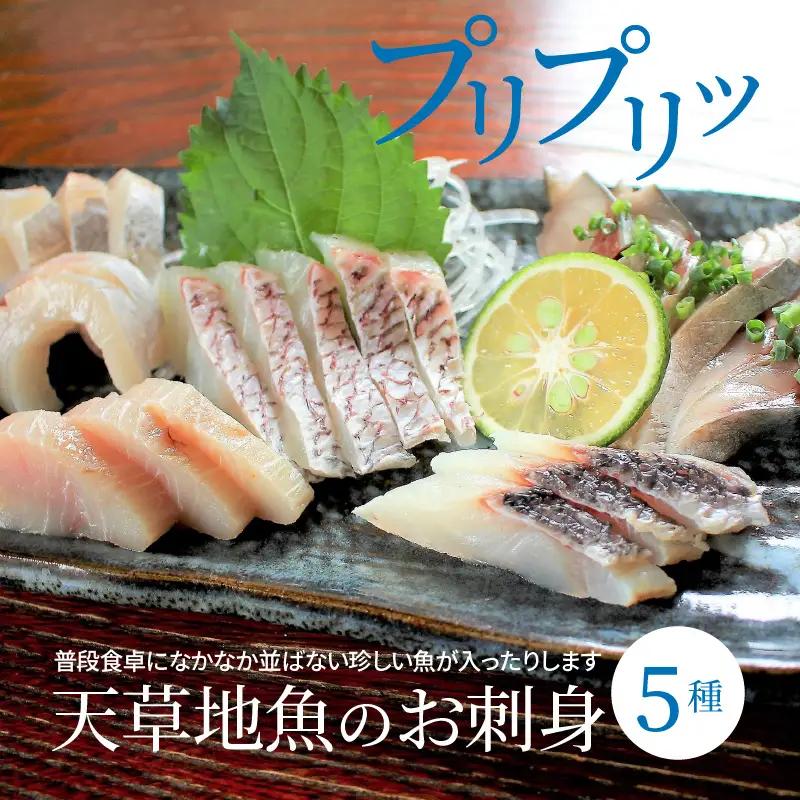 S059-009A_わくわく刺身セットプラス  / 刺身 刺し身 鮮魚 お刺身