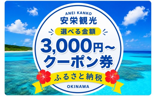 
                  ＜選べる内容＞安栄観光 3,000～30,000円クーポン券
                