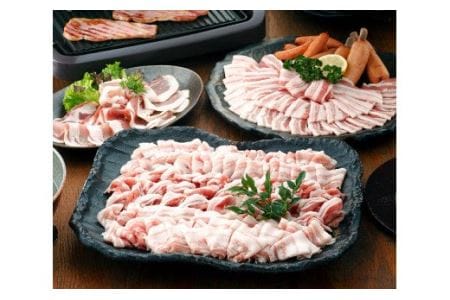 豚肉 こだわり 尾鈴豚 セット 豚肉