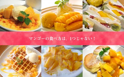【化粧箱入】【先行受付・2025年発送】ヤマト農園 アップルマンゴー約2kg（秀品）- 先行予約 沖縄県産 産地直送 南国フルーツ 旬の味覚 季節の果物 贈り物 ギフト 沖縄県 八重瀬町