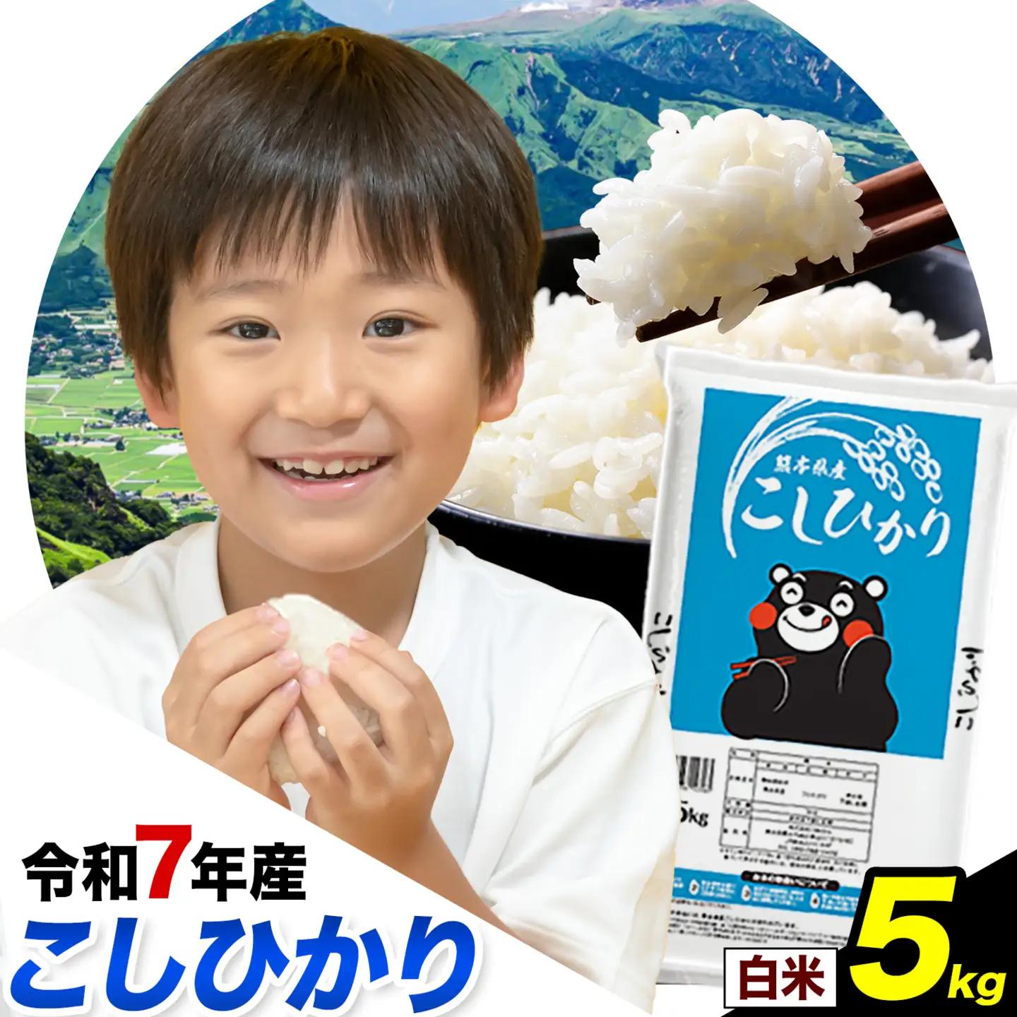 令和7年産 こしひかり 白米  5kg 精米 熊本県産(南阿蘇村産含む)  南阿蘇村《7-14日以内に出荷予定(土日祝除く)》