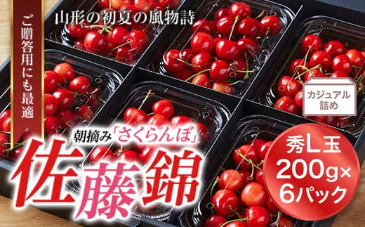 
            《先行予約 2025年度発送》山形特産 朝摘さくらんぼ直送便 佐藤錦 秀 L 1.2kg FSY-0121
          