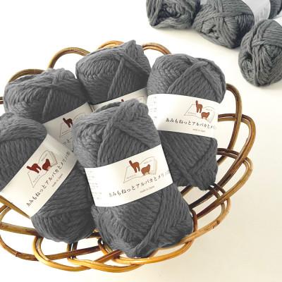 ふるさと納税 江南市 あみもねっと アルパカとメリノの物語 5番色 10玉セット