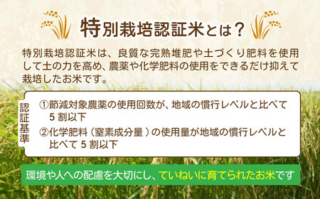 白米こしひかり ５kg 2週間以内発送 品評会を席巻した奇跡のお米 ゆうだい21 