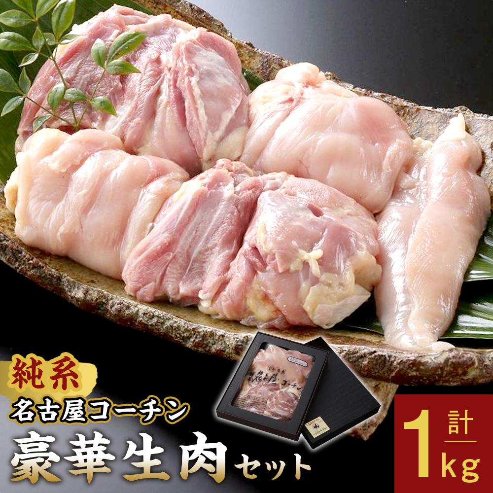 【ふるさと納税】純系名古屋コーチン　豪華生肉セット