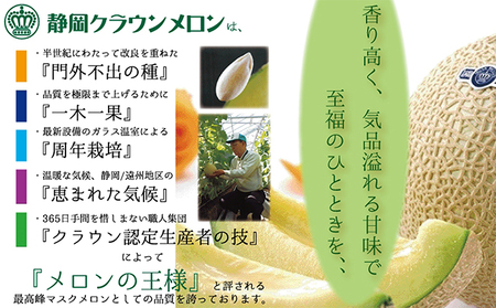 メロン 山クラス ６玉入 出荷箱 果物類 フルーツ メロン