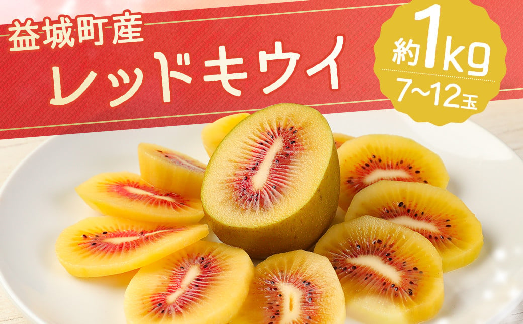 益城町産 レッドキウイ 約1kg（7～12玉）【2024年10月下旬～2025年1月下旬順次発送予定】