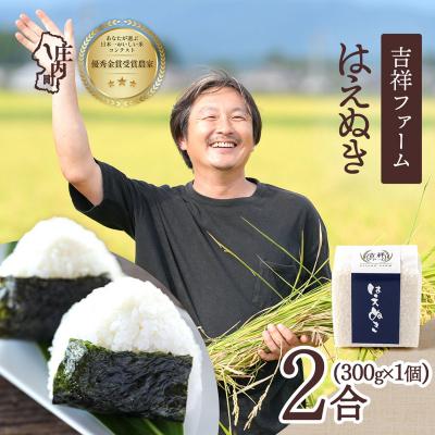 ふるさと納税 庄内町 吉祥ファーム 2合キューブ×1個 はえぬき 300g 無洗米 令和7年産 2025年産 ブランド米
