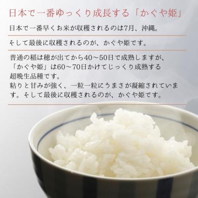 ふるさと納税 東松島市 【令和7年産】 新米 宮城県産 超稀少品種 かぐや姫 玄米 10kg 宮城県 東松島市 天授のお米 |  | 01
