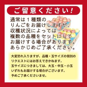 【25年12月出荷予定】りんご 品種おまかせ 約3kg 訳あり【配送不可地域：離島・沖縄県】【1612939】
